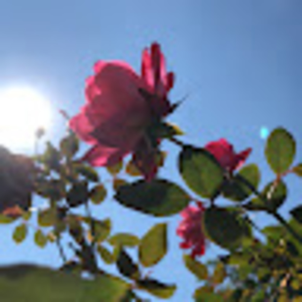 Meet your Posher, Breonna